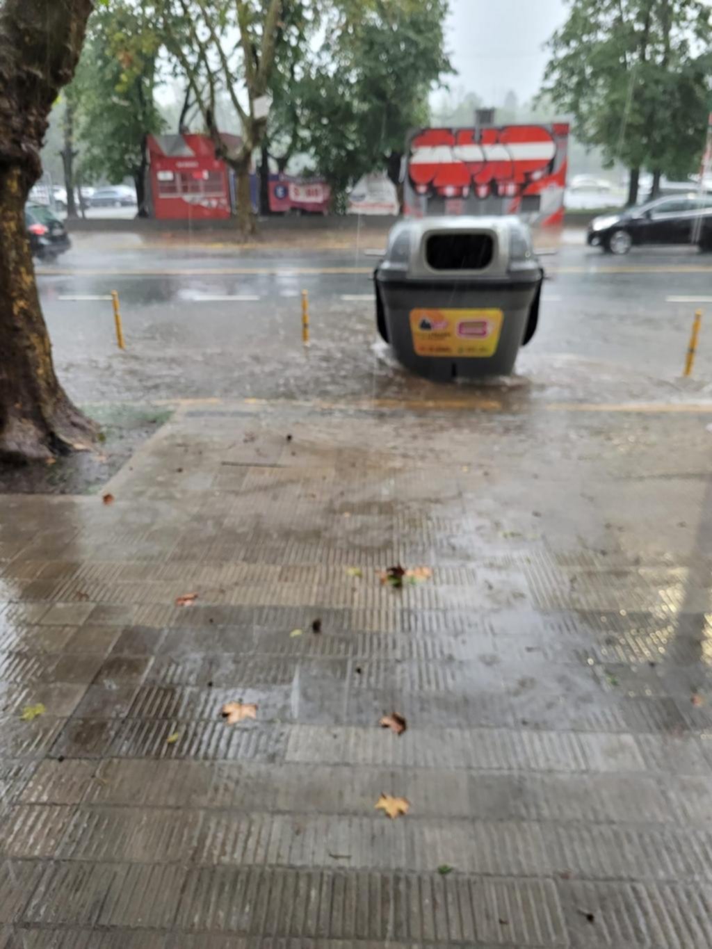 Un contenedor donde debe escurrir el agua en 1, 54 y 55