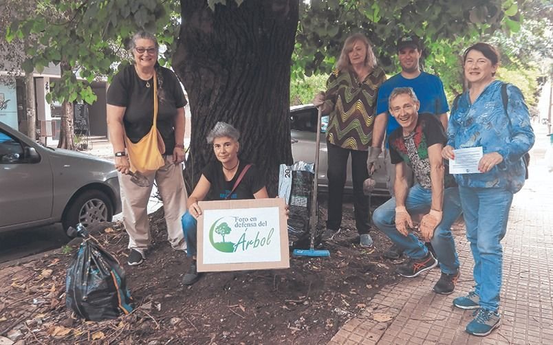 Salen a tocar timbre con tips para cuidar el árbol de la vereda propia