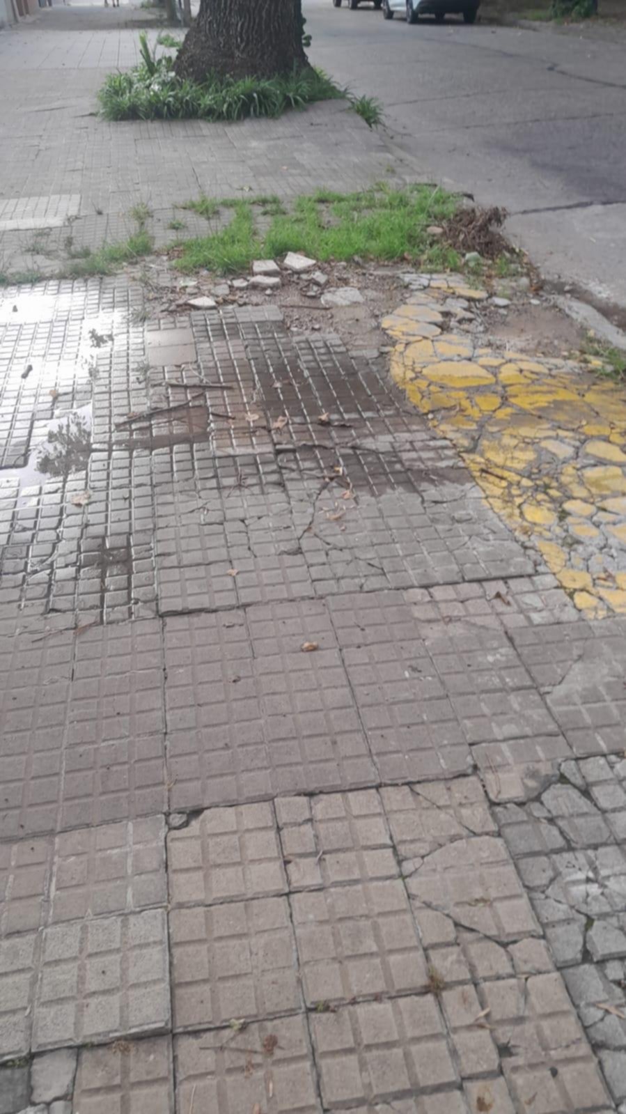 Reclama por una pérdida en la red de agua, en 9 y 66