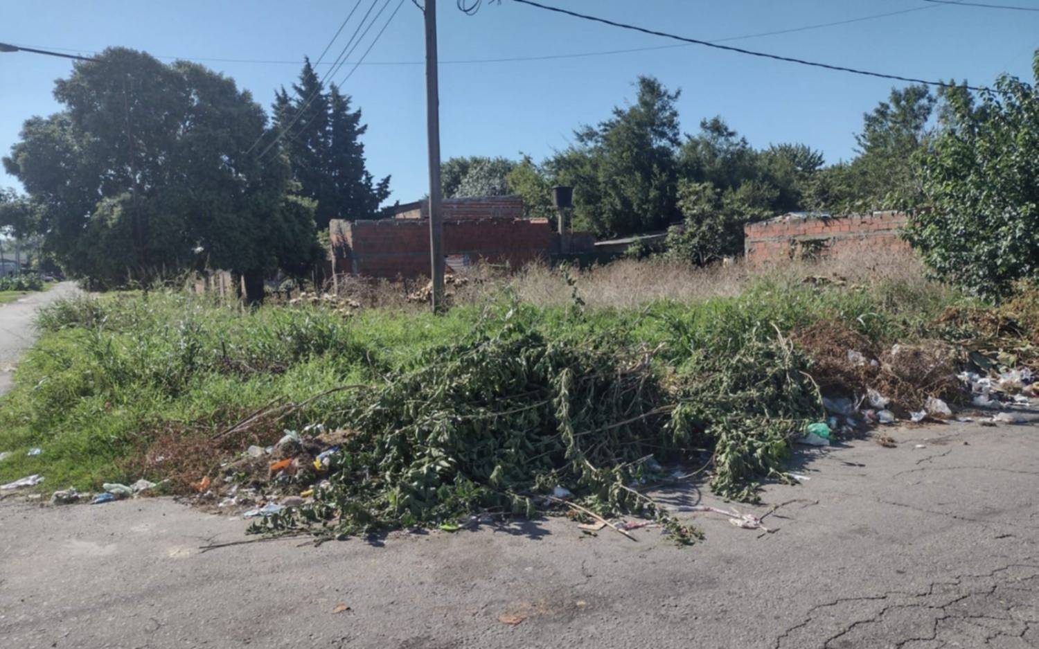 Un basural de La Plata que, poco a poco, se convierte en un "criadero de ratas"