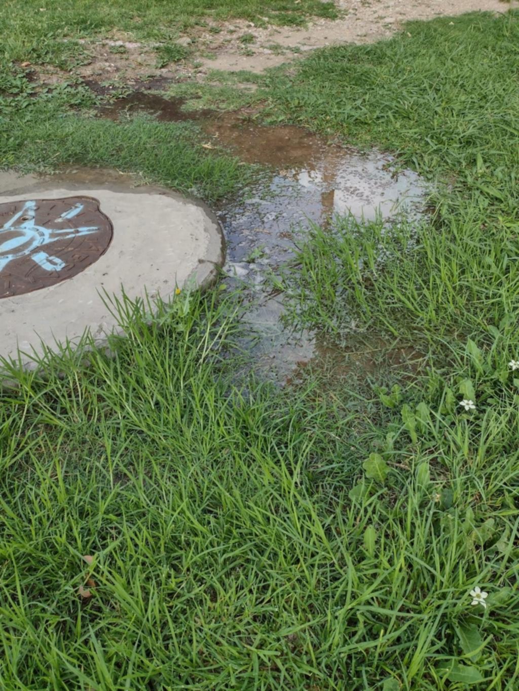 Reclamo por un desborde cloacal en 52 y 28