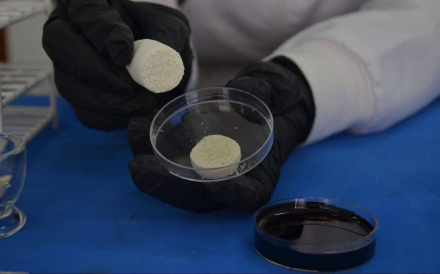 Una investigadora formada en la UNLP desarrolla esponjas a base de plumas de pollo
