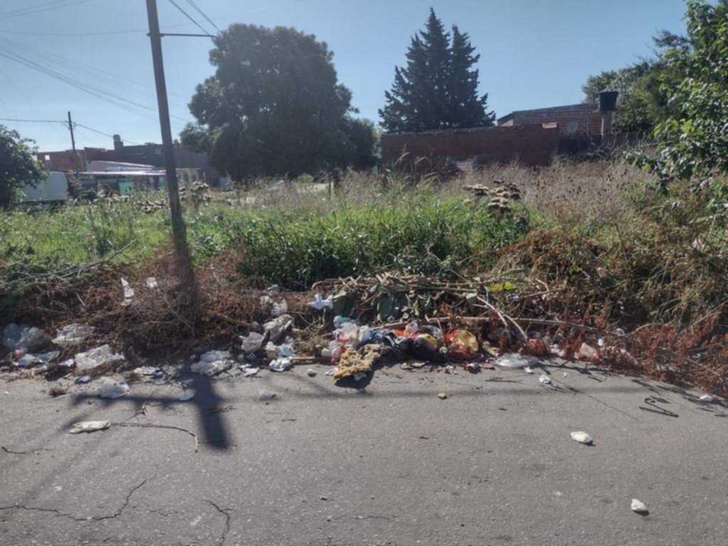 Denuncian que conviven con un basural en 69 y 151