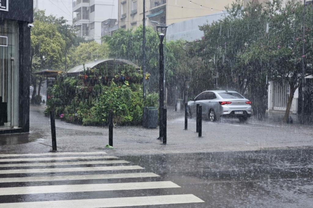 Cayeron 185 milímetros en La Plata y la tormenta dejó inundaciones, evacuados y daños: cómo sigue el tiempo