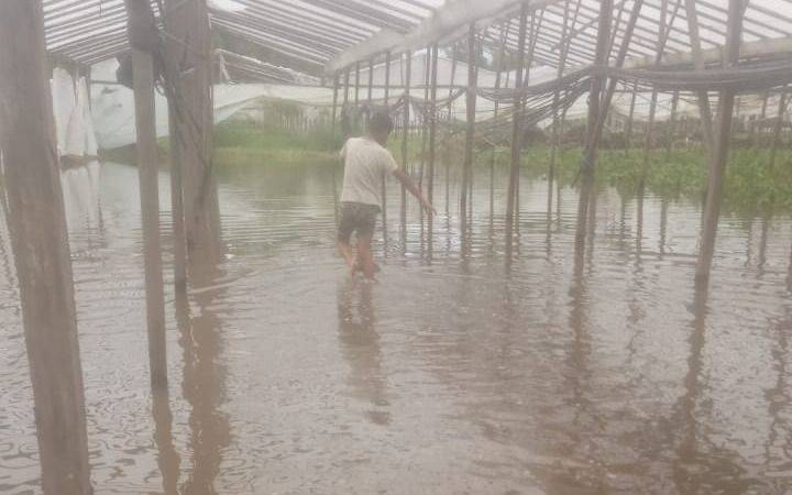 Productores frutihortícolas de La Plata protestarán en la Ruta 2