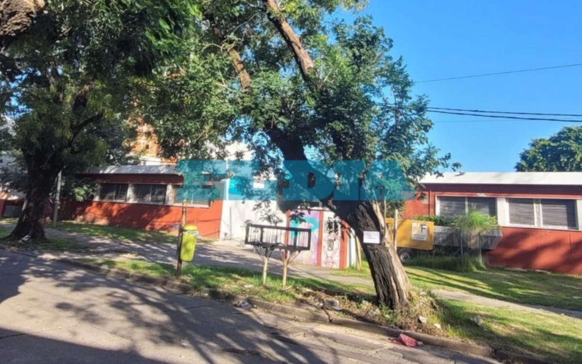 Advierten por enorme árbol a punto de caer frente  a consultorios del Hospital de Niños