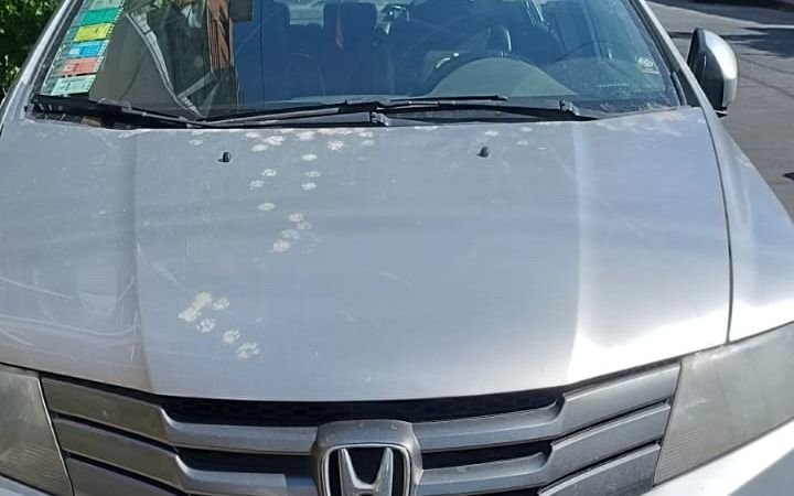 Macabro hallazgo en pleno centro de La Plata