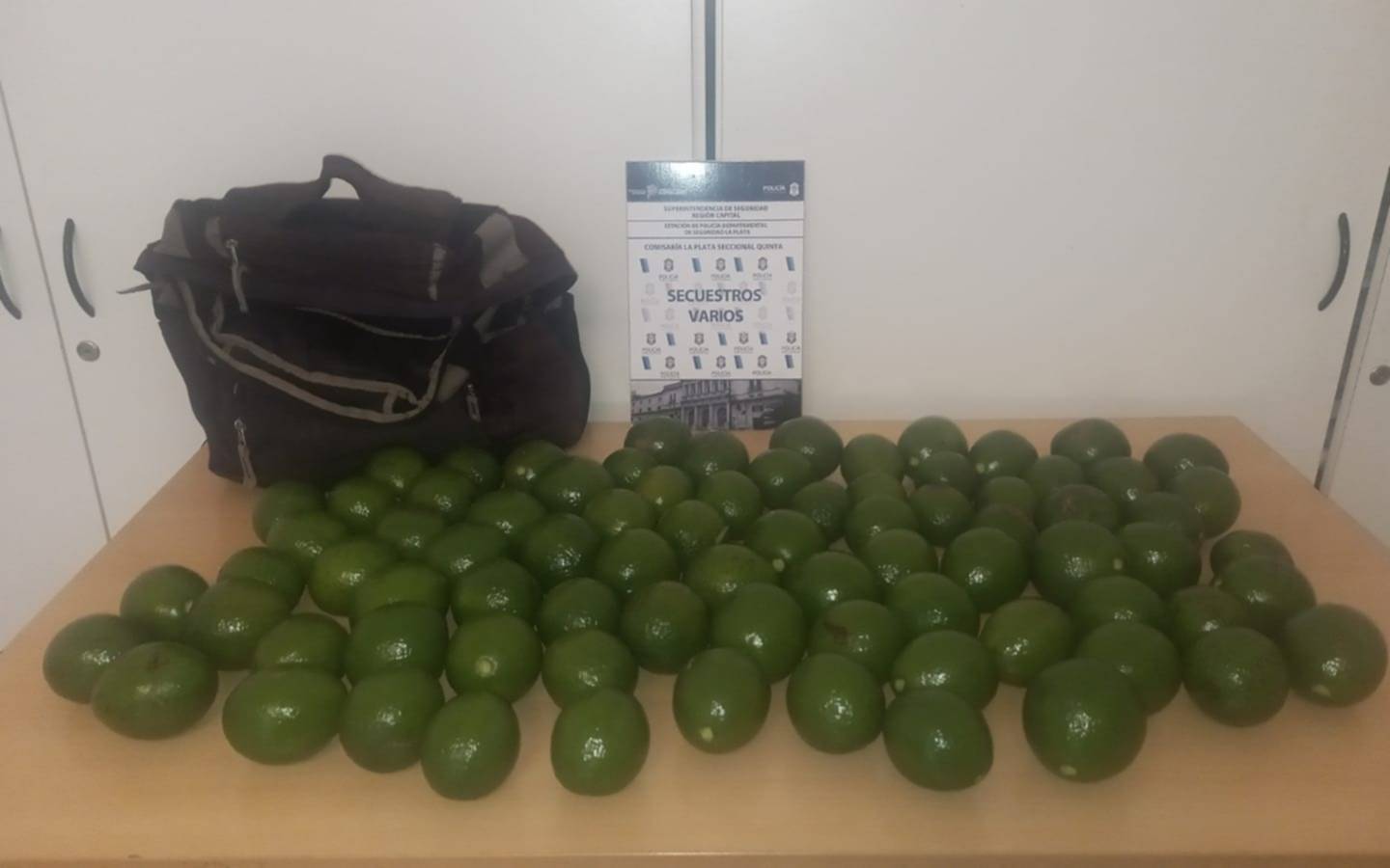 Tres jóvenes demorados en La Plata tras robarse más de 60 paltas del interior de una propiedad 