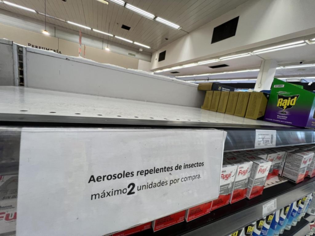 En La Plata invaden los mosquitos y escasean los repelentes: entre falta de stock y limitaciones