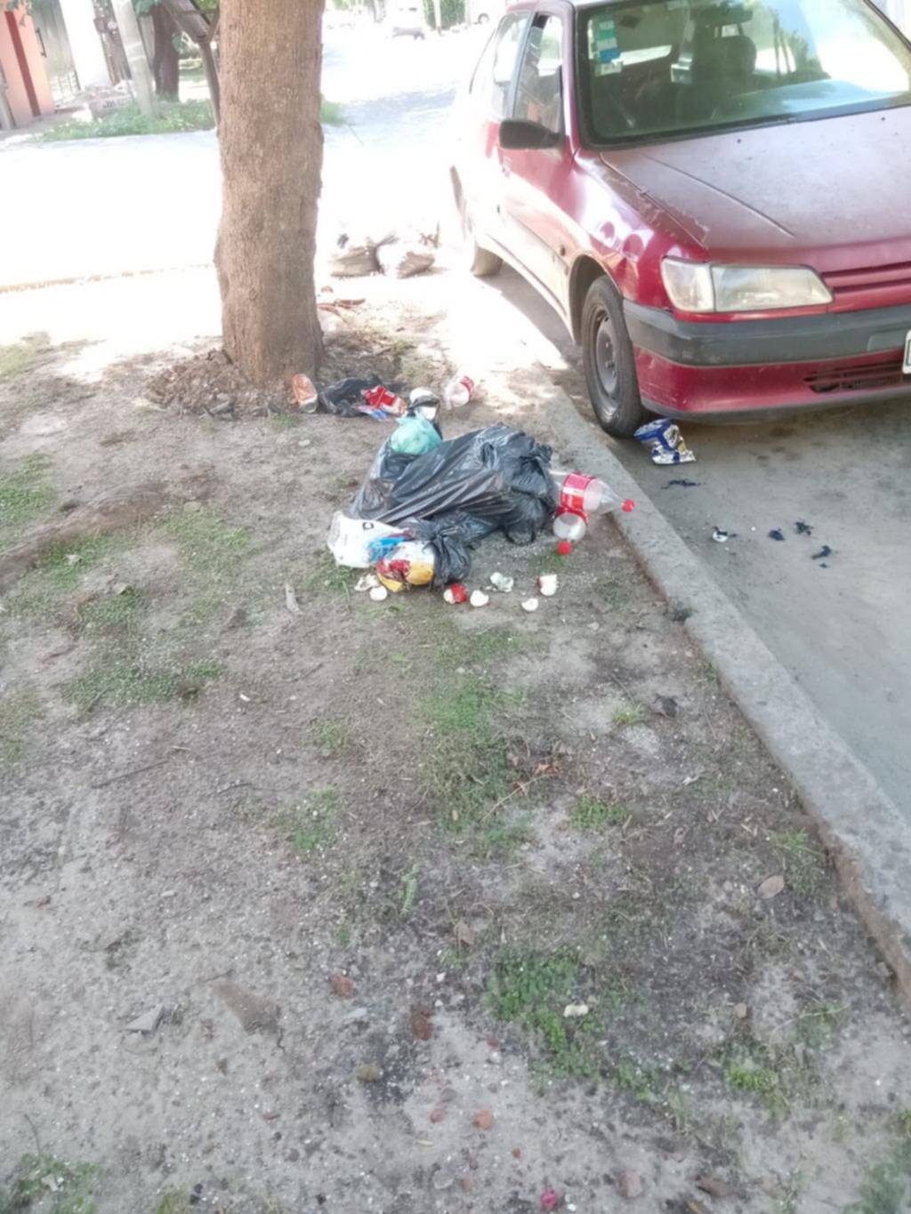 Bolsas rotas y reclamo por la recolección en Ringuelet