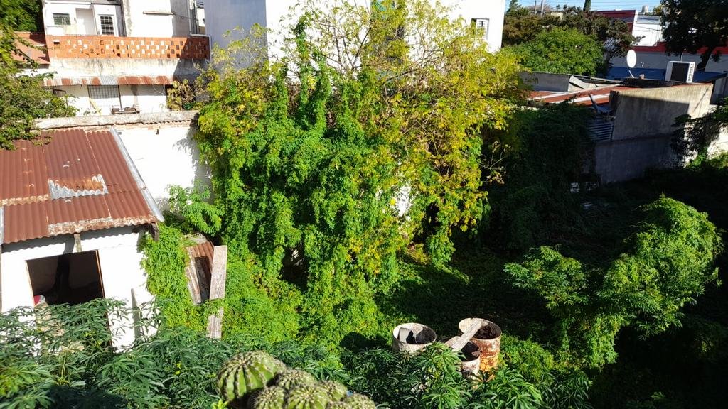 Piden por limpieza en un terreno baldío