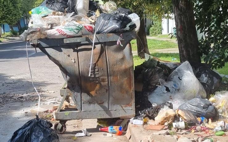 Desborde de residuos en la cuadra de 27 entre 72 y 73