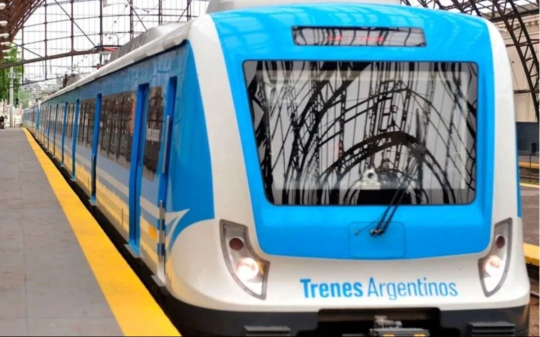 Se normalizó el servicio del Tren Roca en La Plata, tras el accidente en el que murió una persona