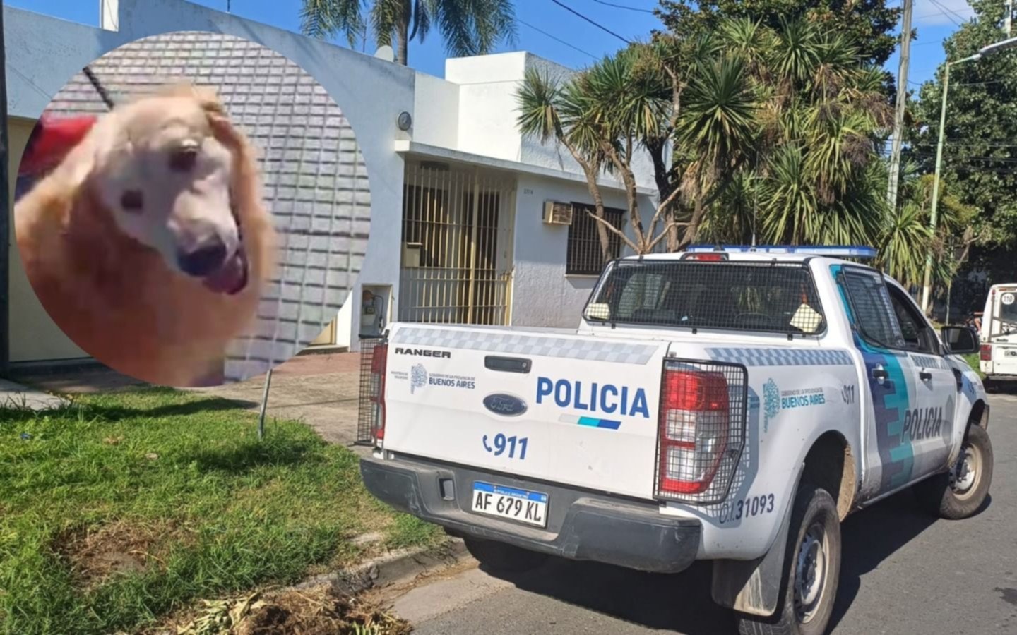 Detienen a una mujer en La Plata por querer faenar a su perro en una carnicería por quedarle "poco tiempo de vida"