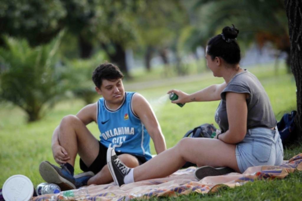 Detectan el primer brote autóctono de dengue