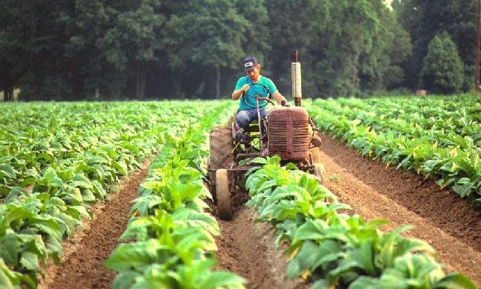 Los efectos del modelo de Milei sobre la actividad económica: el balance 2024