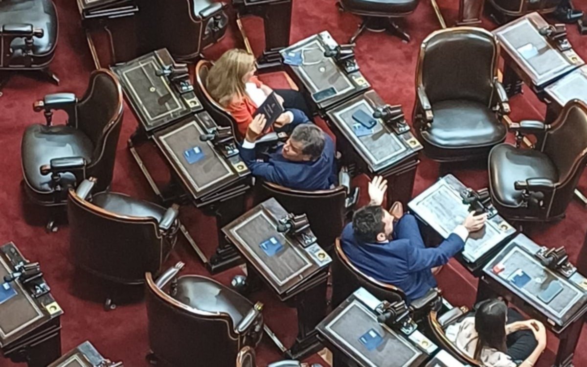 El radicalismo platense repudió la violencia contra Manes en el Congreso: “Sistema democrático en riesgo”