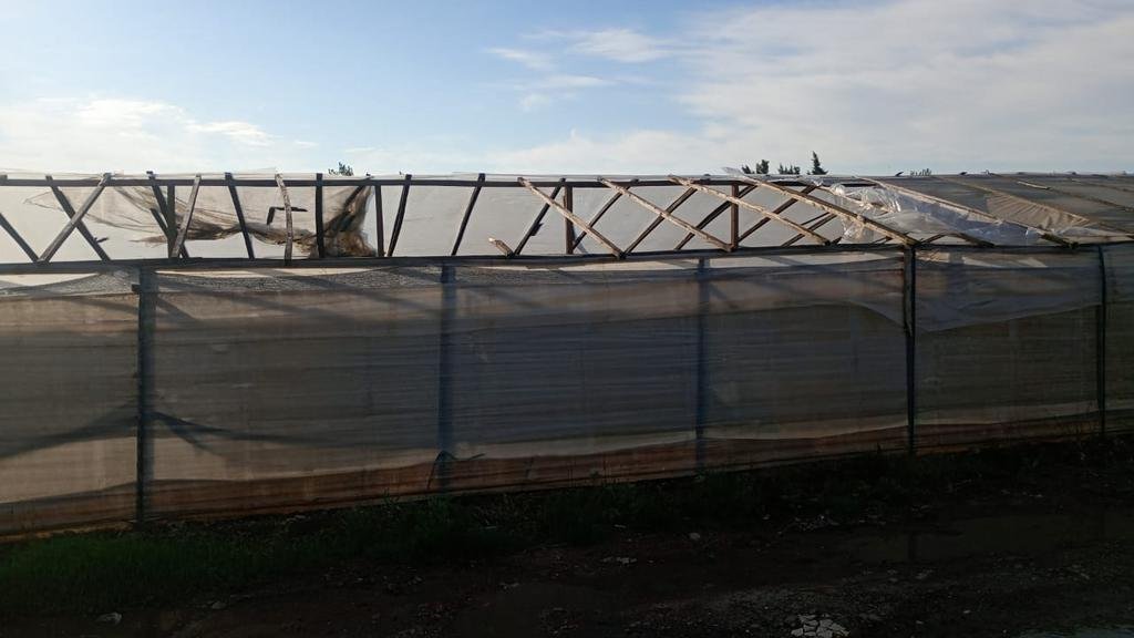 El temporal también golpeó en las quintas