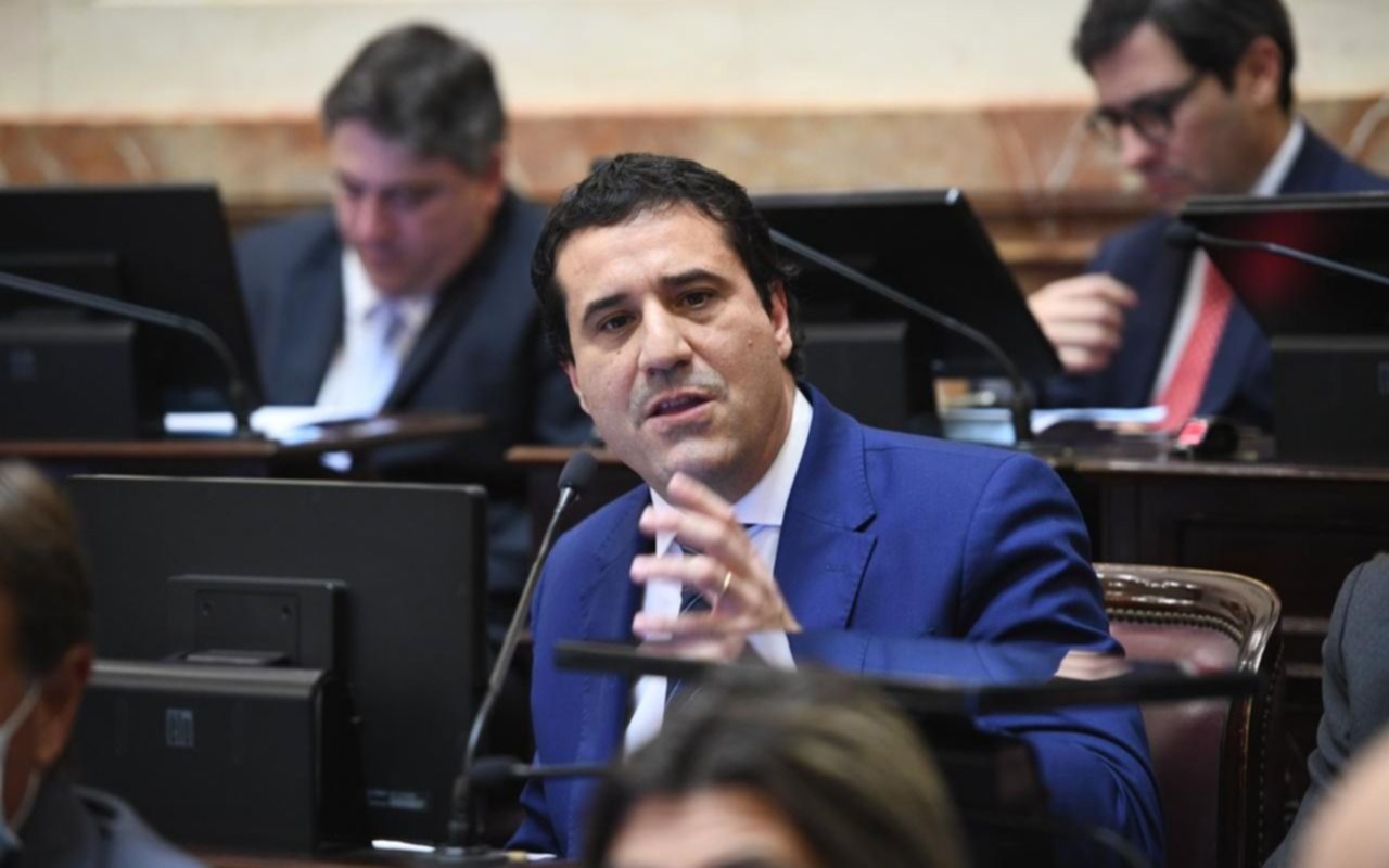 Abad reclamó que se declare al IOMA en situación de emergencia