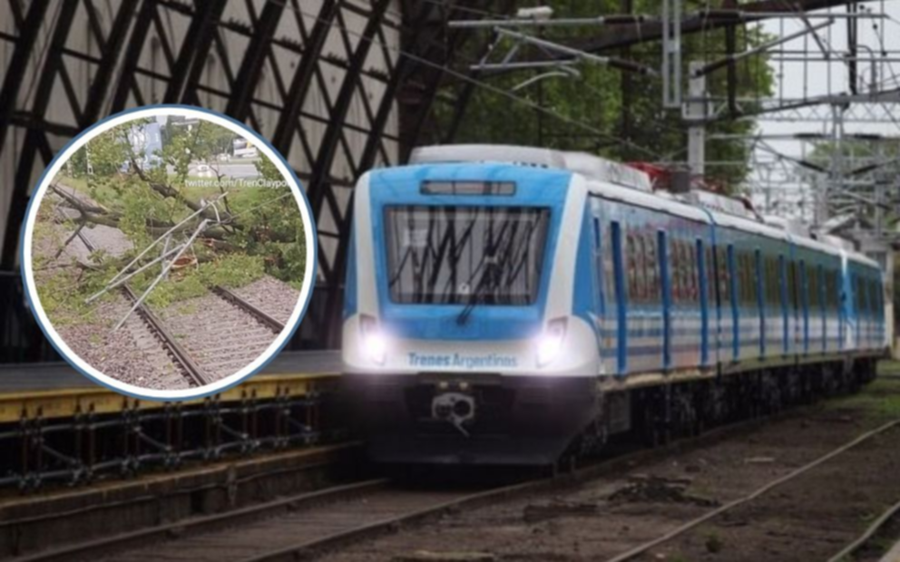 La caída de un árbol entorpeció el funcionamiento del Tren Roca a la altura de Villa Elisa