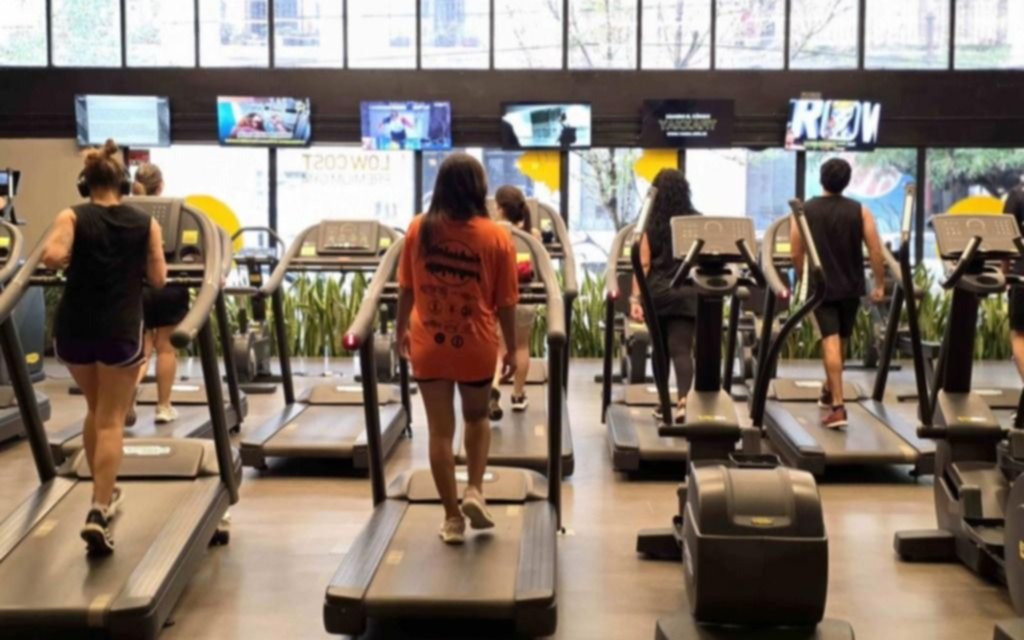 Las disciplinas más elegidas