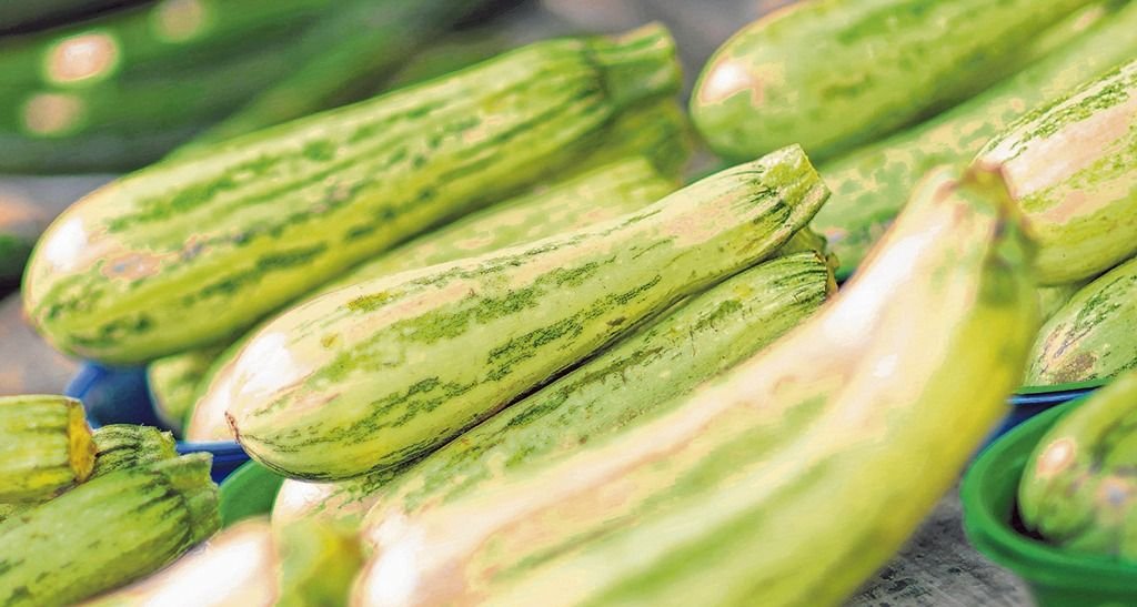 Zucchini: rico en agua y fibra