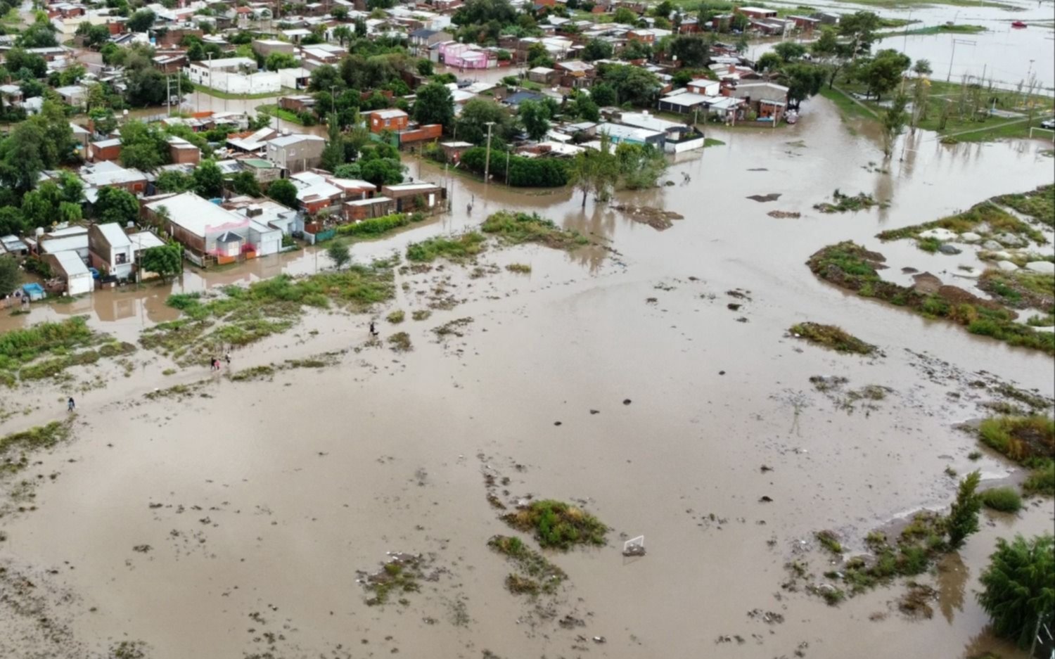 Cerca de 2 millones de hectáreas están bajo el agua en la Provincia y las pérdidas son "muchísimas"