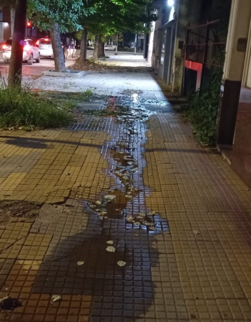 Pérdida de agua a metros de Parque Castelli: “Una vecina se cayó y se lastimó”