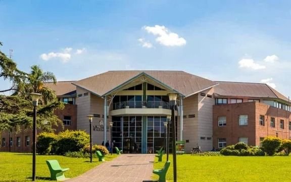Hurlingham: denuncian que La Cámpora controla grupos de WhatsApp vecinales y usa trolls en redes
