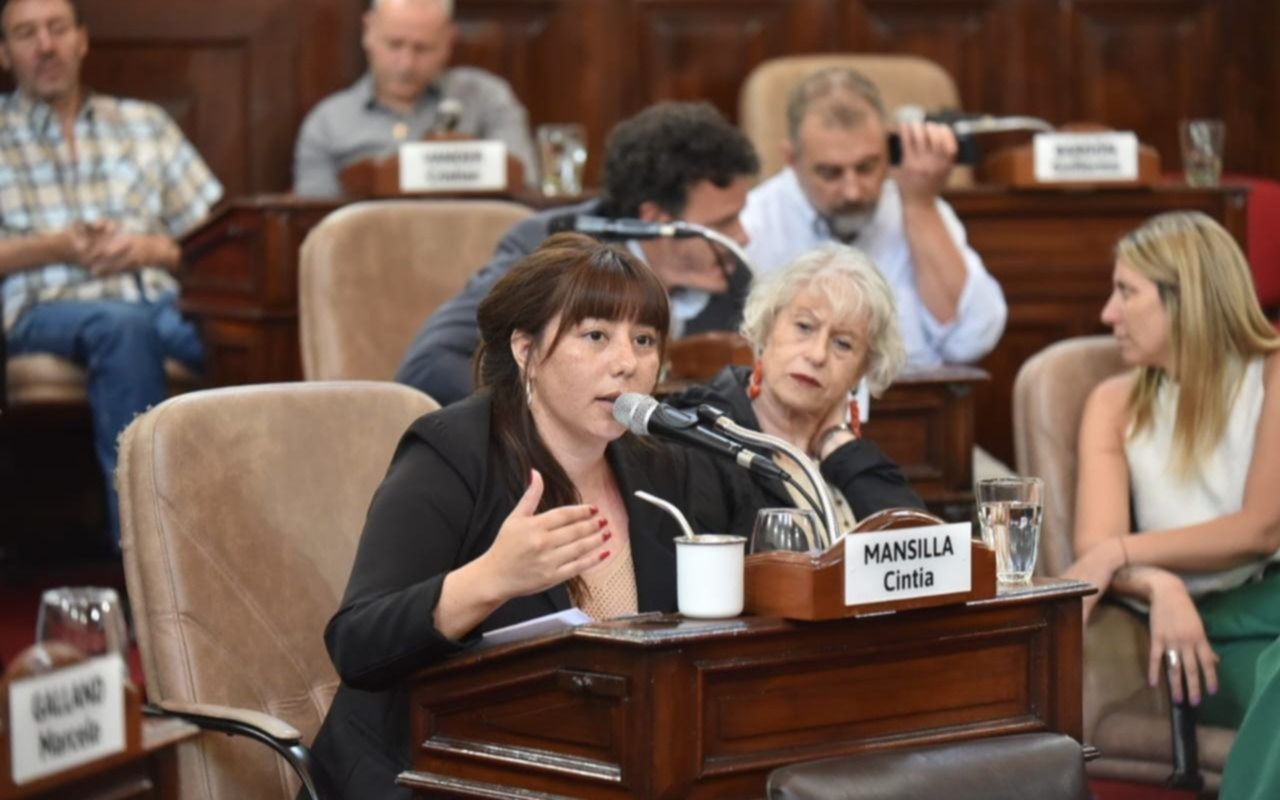 Incidentes en el Congreso: detuvieron a la concejala de La Plata, Cintia Mansilla