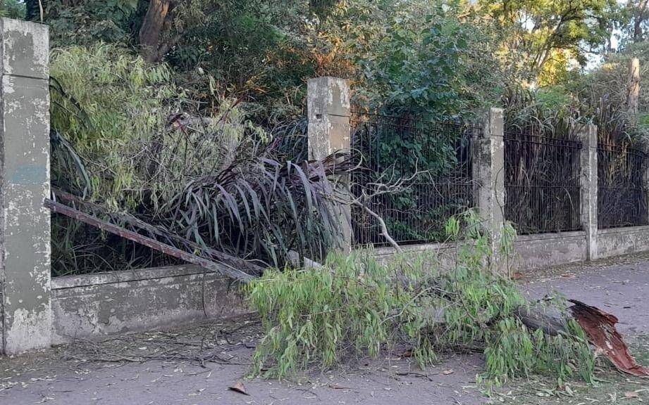 Arman una lista de reclamos por el “abandono” en el Paseo del Bosque