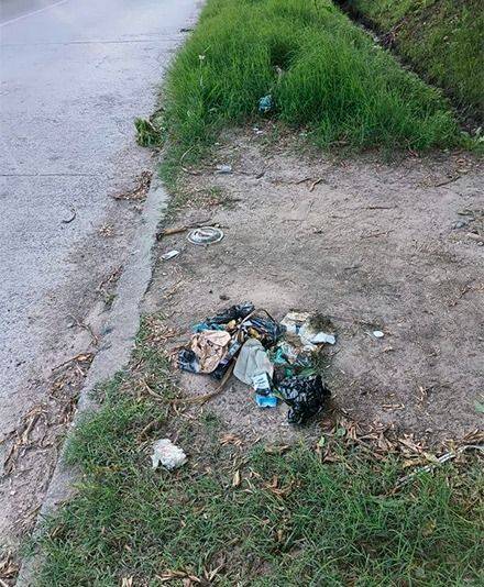 En Villa Castells, residuos y un pastizal junto a la zanja, en parada del micro