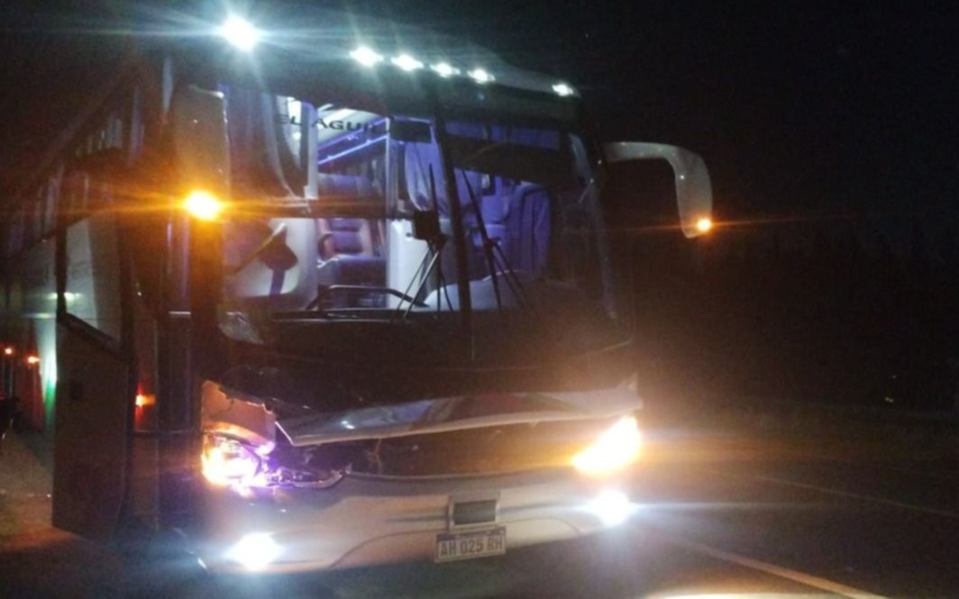 Tránsito mortal en La Plata: un micro de larga distancia chocó y mató a una mujer en la Ruta 2