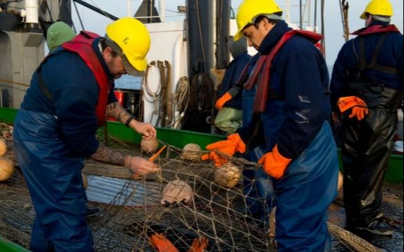 Cámaras pesqueras exigen medidas urgentes para el sector ante el CFP