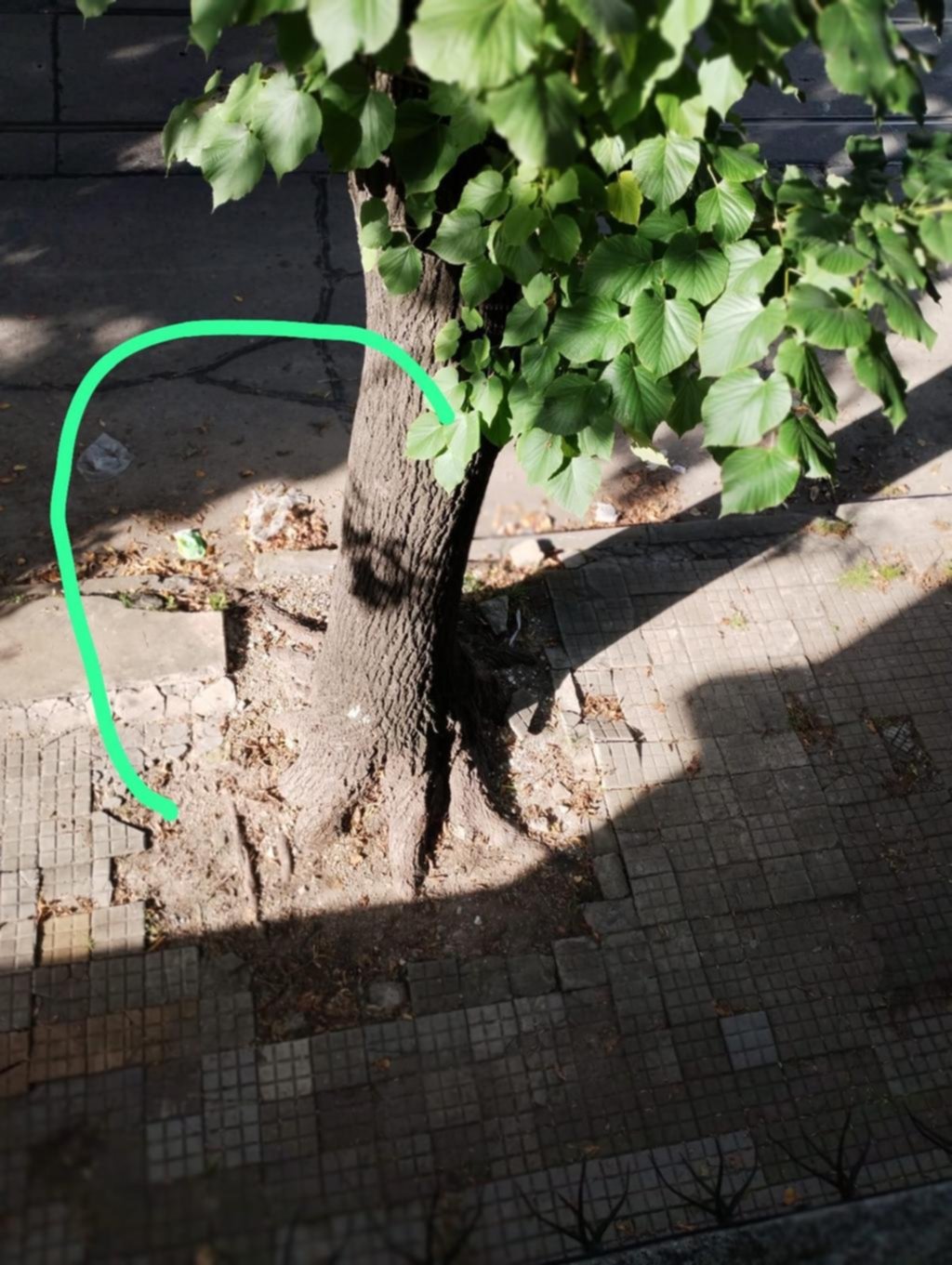 “Ya hay muchas hojas”, el pedido de los vecinos por la falta de barrido público