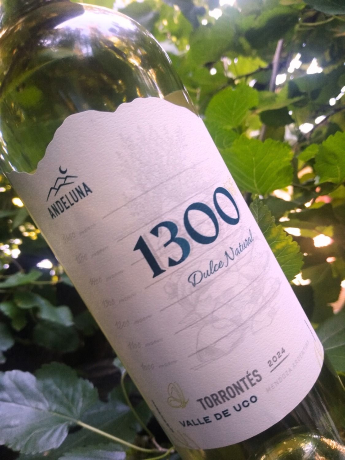 Nueva tendencia: Otro vino, bajo en alcohol