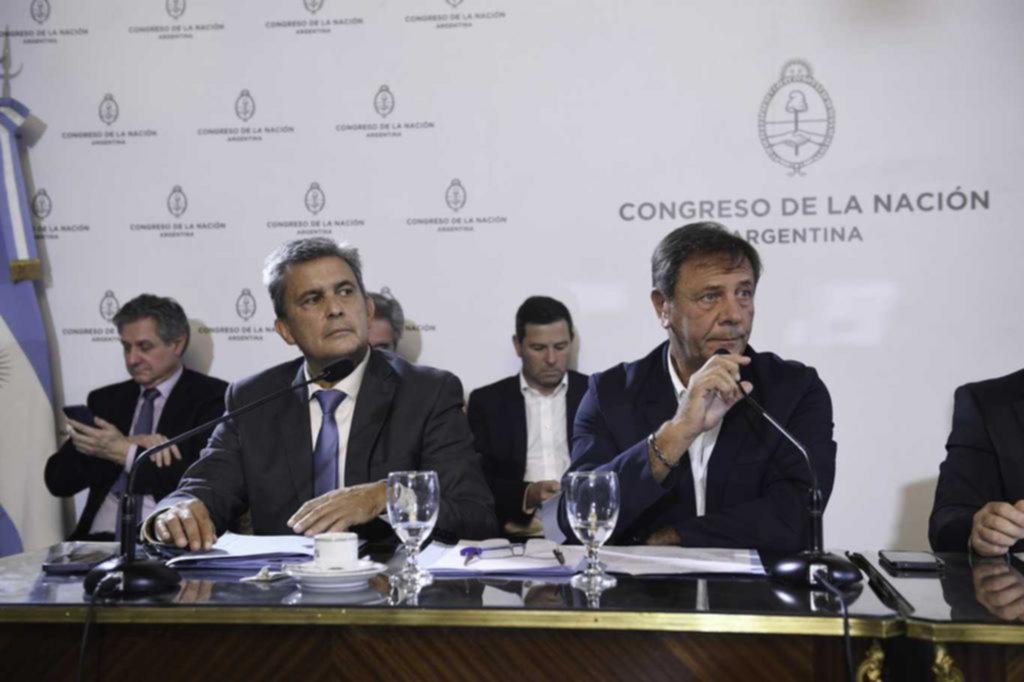 Acuerdo con el FMI: tras un forzado dictamen, tratan el DNU