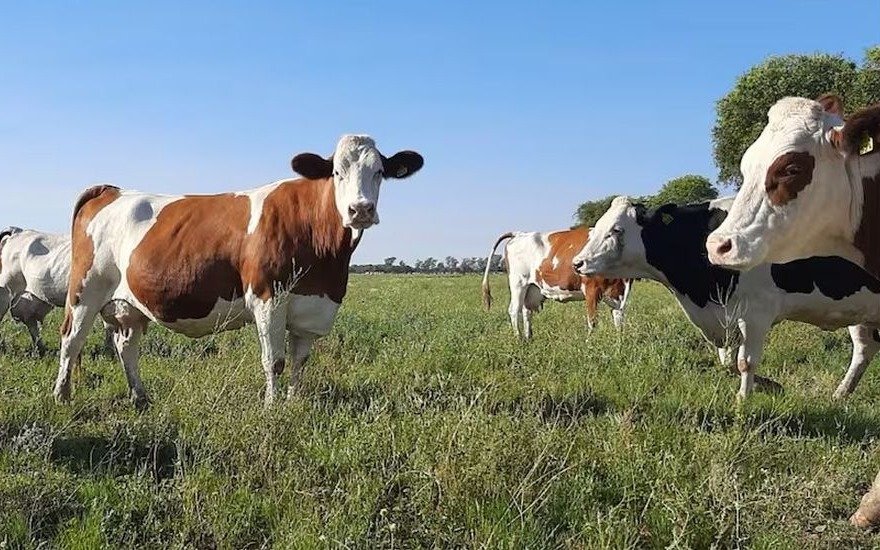 Junín: Beneficio impositivo para el sector agropecuario