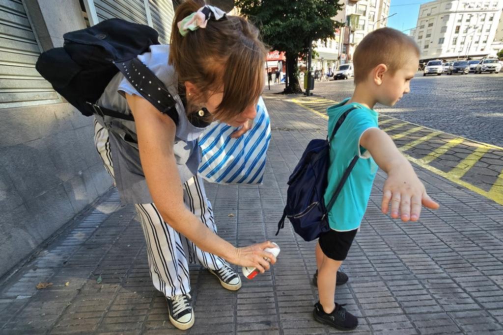 La Plata, invadida por mosquitos: lo que hay que saber para ahuyentarlos