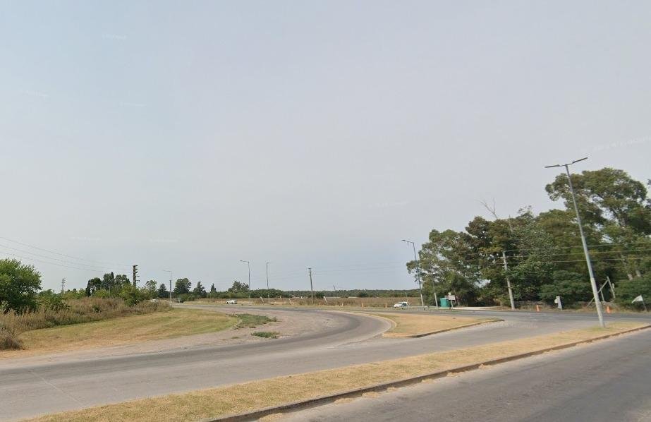 La Plata: delincuentes se llevaron hasta la carne