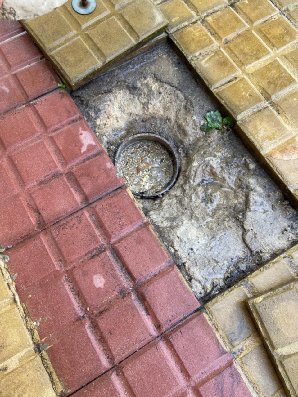 Un desagüe tapado afecta a toda una cuadra en el Parque San Martín