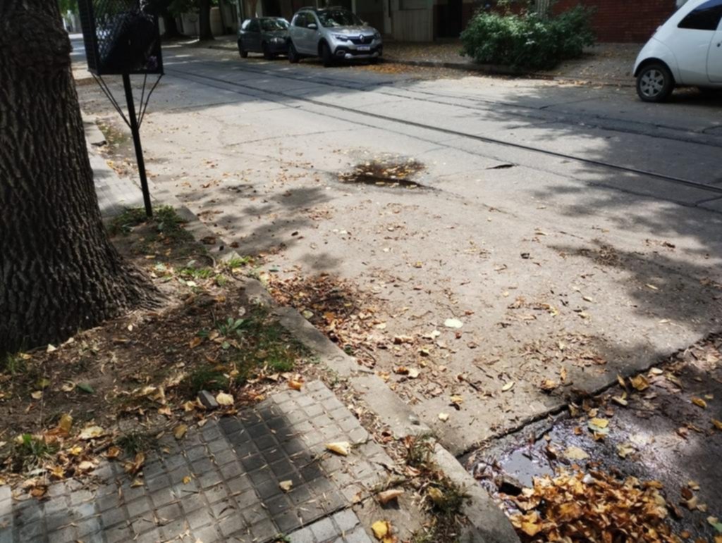 Reclamos por la falta de barrido en la calle 3 entre 66 y 67