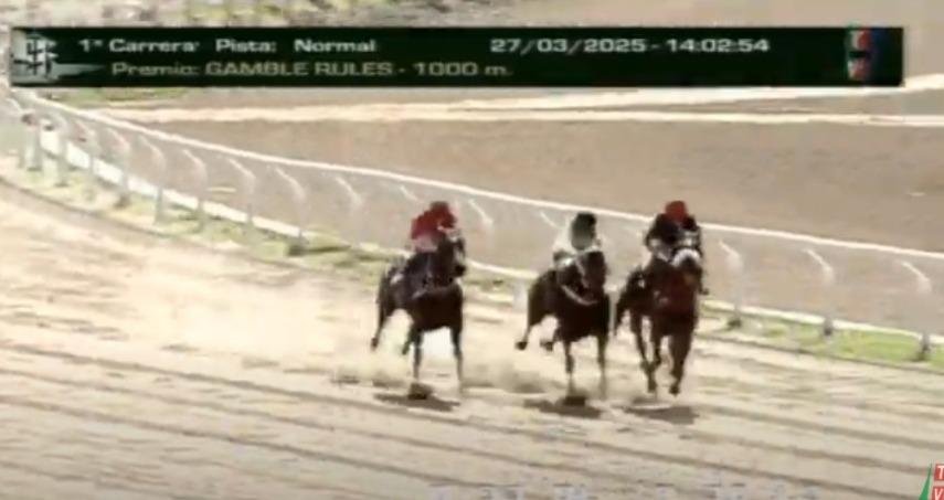 Hipódromo: faltazo y otra suspensión de carreras