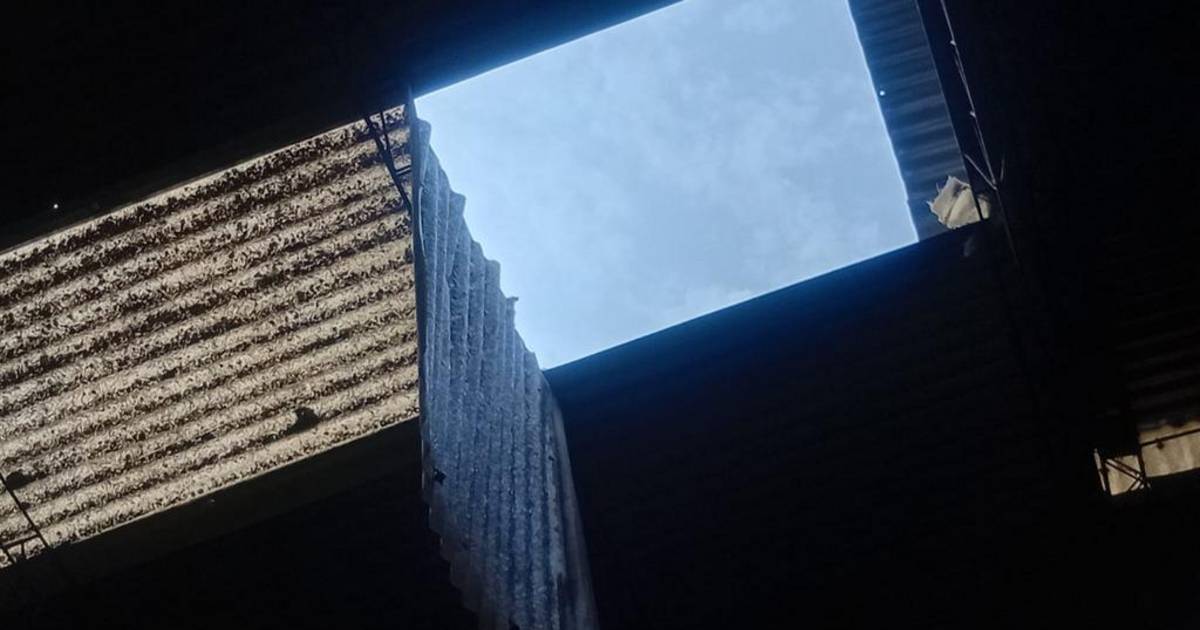 Un obrero murió al caer de un techo en Ensenada | El Dia