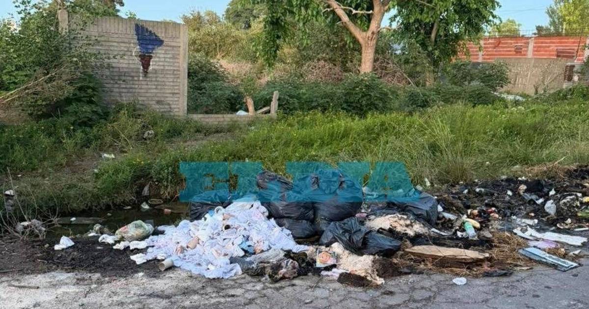 Vecinos de San Carlos denuncian acumulación de basura y presencia de ...