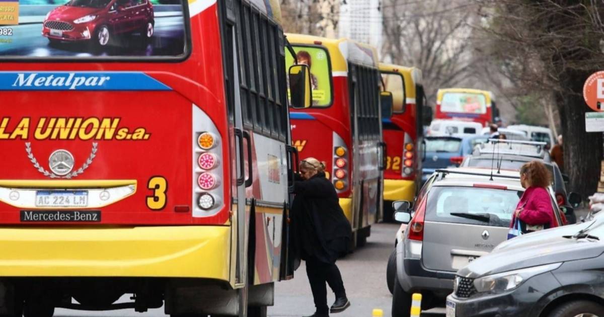 Los cambios y extensión de recorridos de los micros serán por etapas ...