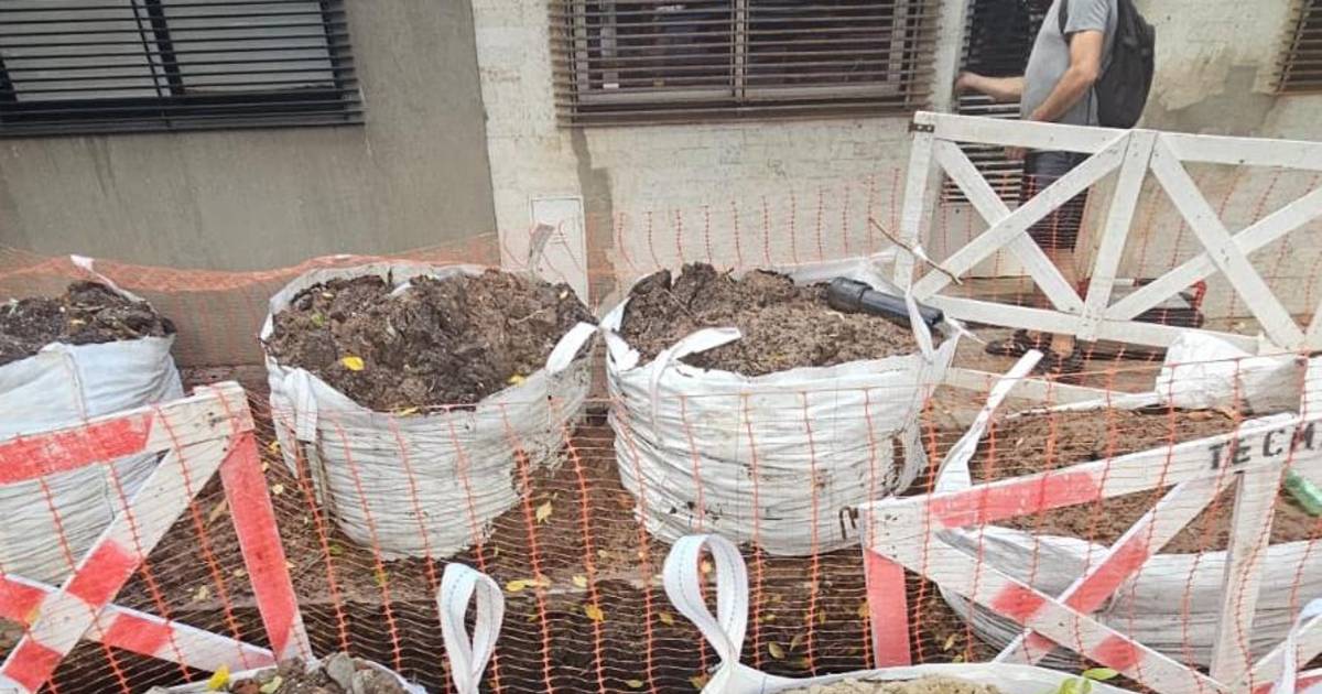 Veredas transformadas en un “corralón” por obra de ABSA en 41 de 19 a ...