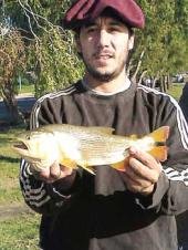 El caza recompensas: arrestando a mi ex