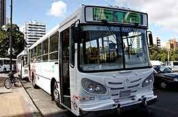 Presentan flamantes micros de nueva línea 518