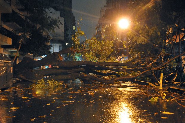 En Capital, los fuertes vientos tiraron árboles y semáforos